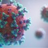 virus-min virus-min